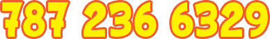 787 236 6329